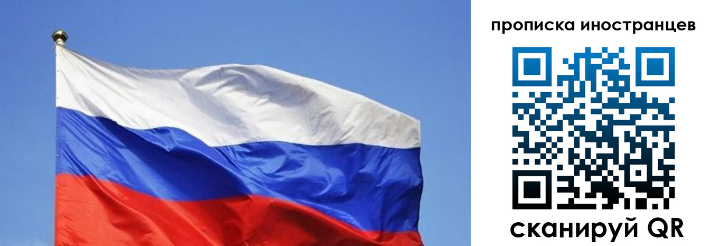 регистрация в Ярославской области